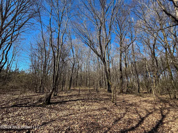 $75,250 | Ms-9, Pittsboro, MS 38951