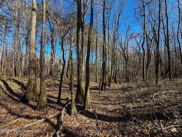 $75,250 | Ms-9, Pittsboro, MS 38951