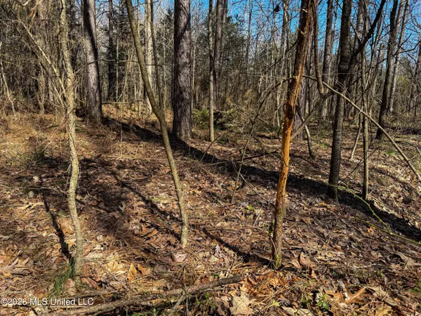 $75,250 | Ms-9, Pittsboro, MS 38951