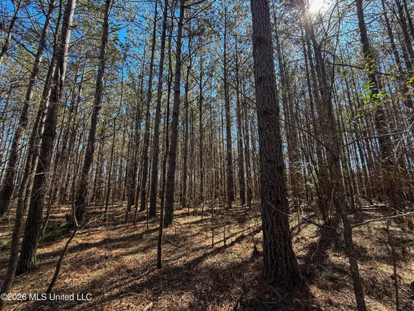 $75,250 | Ms-9, Pittsboro, MS 38951