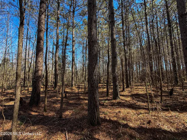 $75,250 | Ms-9, Pittsboro, MS 38951