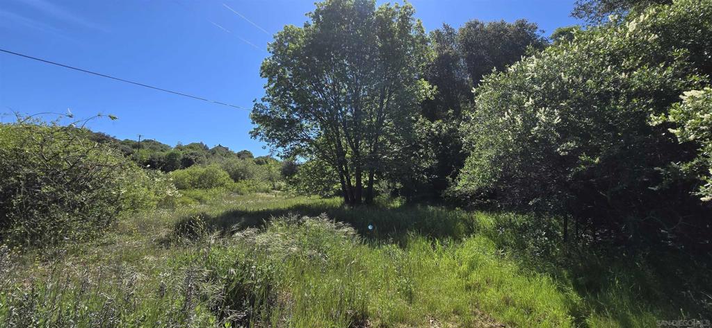 38 Creek Road Julian, CA 92036 - Photo 13 of 16 a view of a lush green space