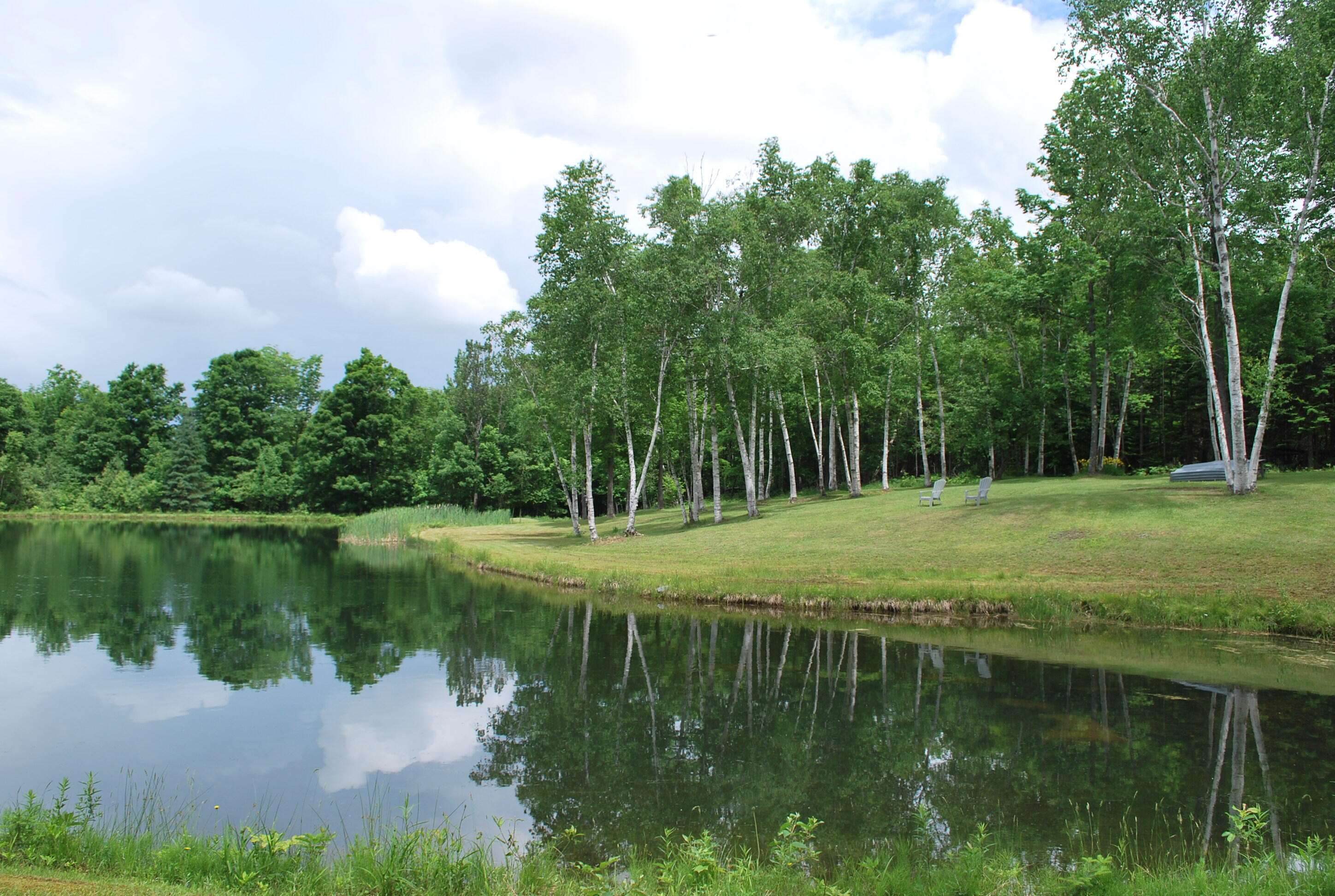 25 Grant Road Sangerville, ME 04479 - Photo 11 of 49 25 Grant Road 6-2024 009