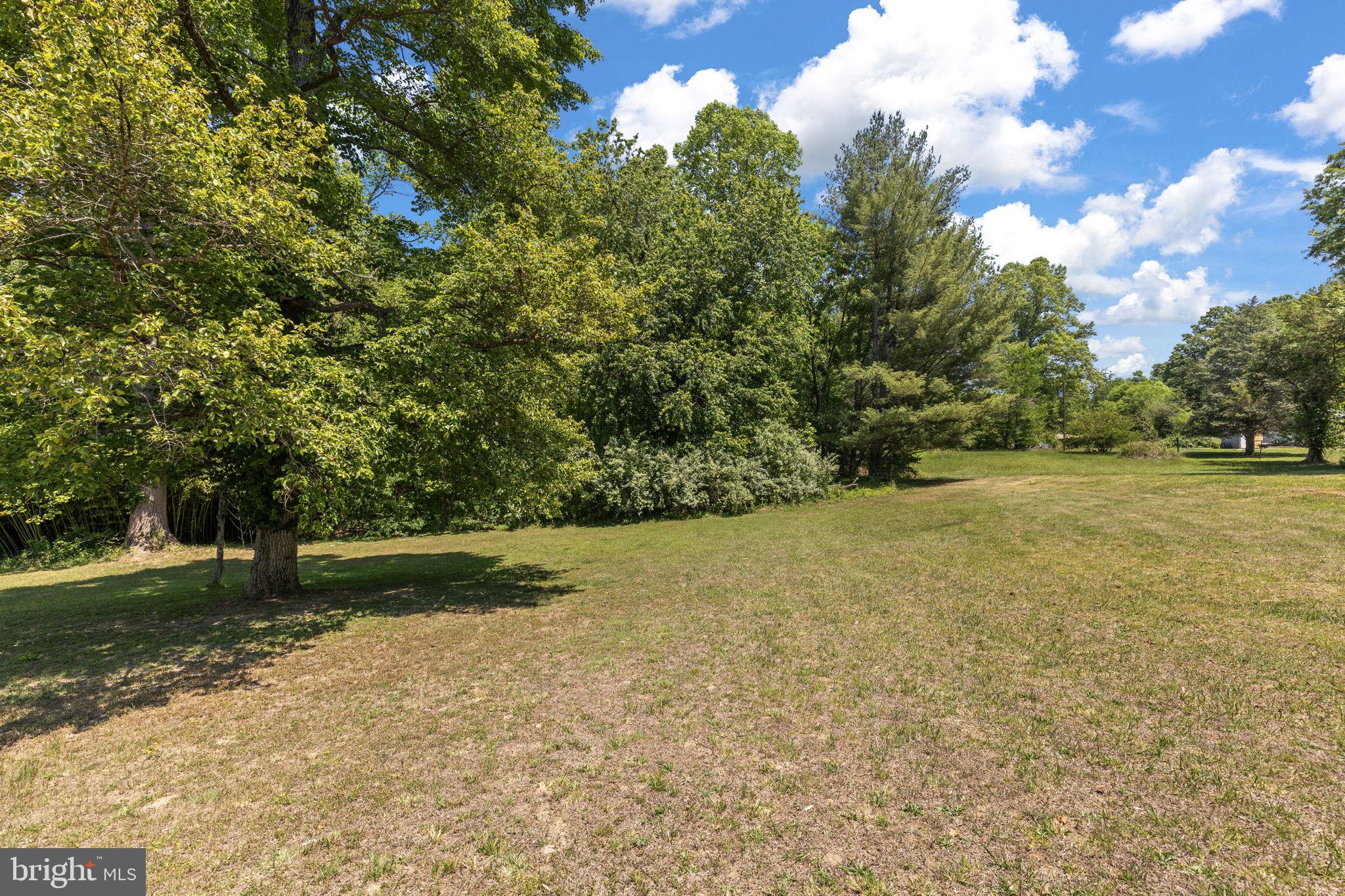 17195 Oakshade Road Orange, VA 22960 - Photo 25 of 31 Lush greenery under a bright sky.