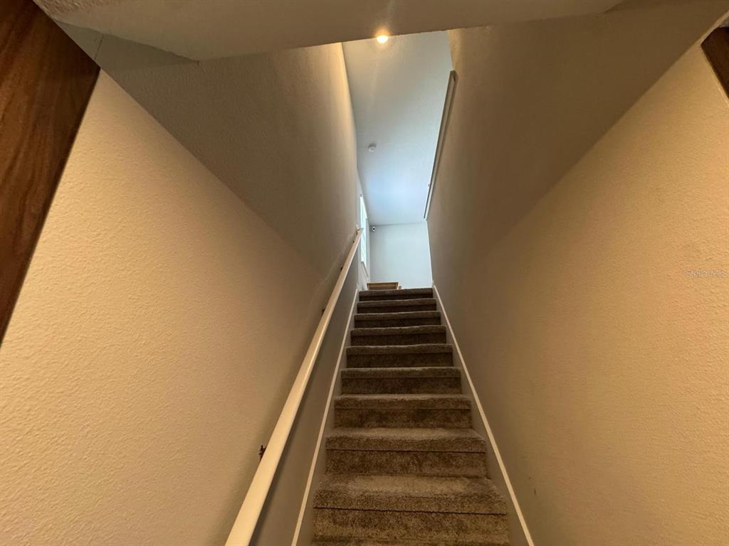 4812 Lime Rickey Alley Winter Garden, FL 34787 - Photo 11 of 31