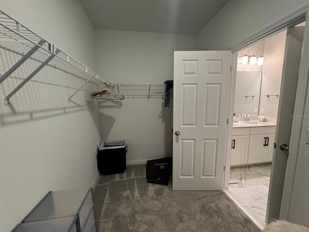 4812 Lime Rickey Alley Winter Garden, FL 34787 - Photo 20 of 31