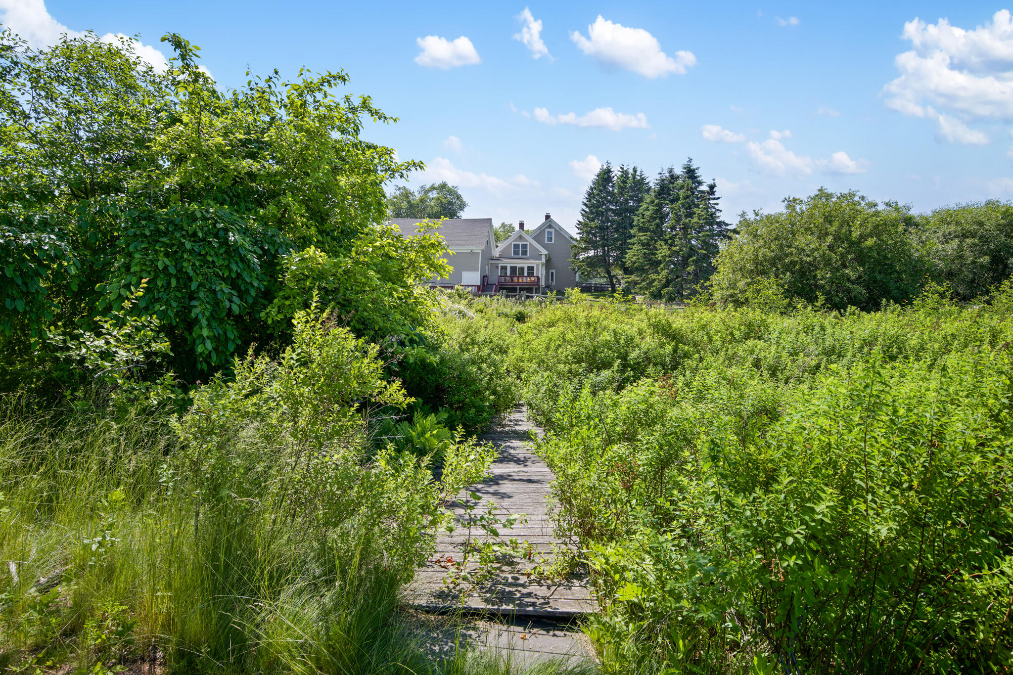 88 Main Street Milbridge, ME 04658 - Photo 88 of 93 DSC_2331