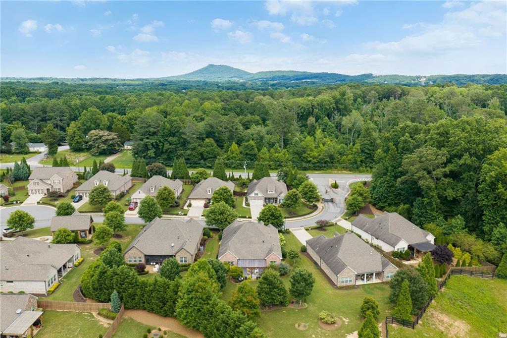 4735 Amble Trace Cumming, GA 30040 - Photo 66 of 73 an aerial view of a house with lots of trees