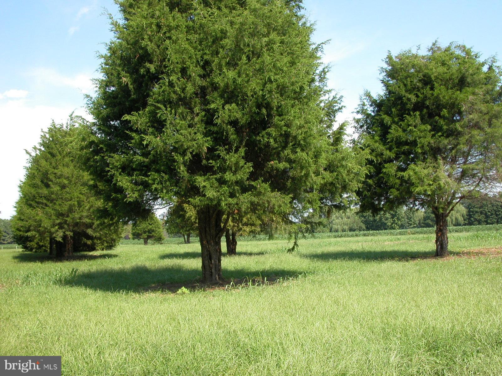 Deep Harbor Farm Road, Unit 10 Sherwood, MD 21665 - Photo 4 of 24 PERC APPROVED FOR UP TO 4 BEDROOMS