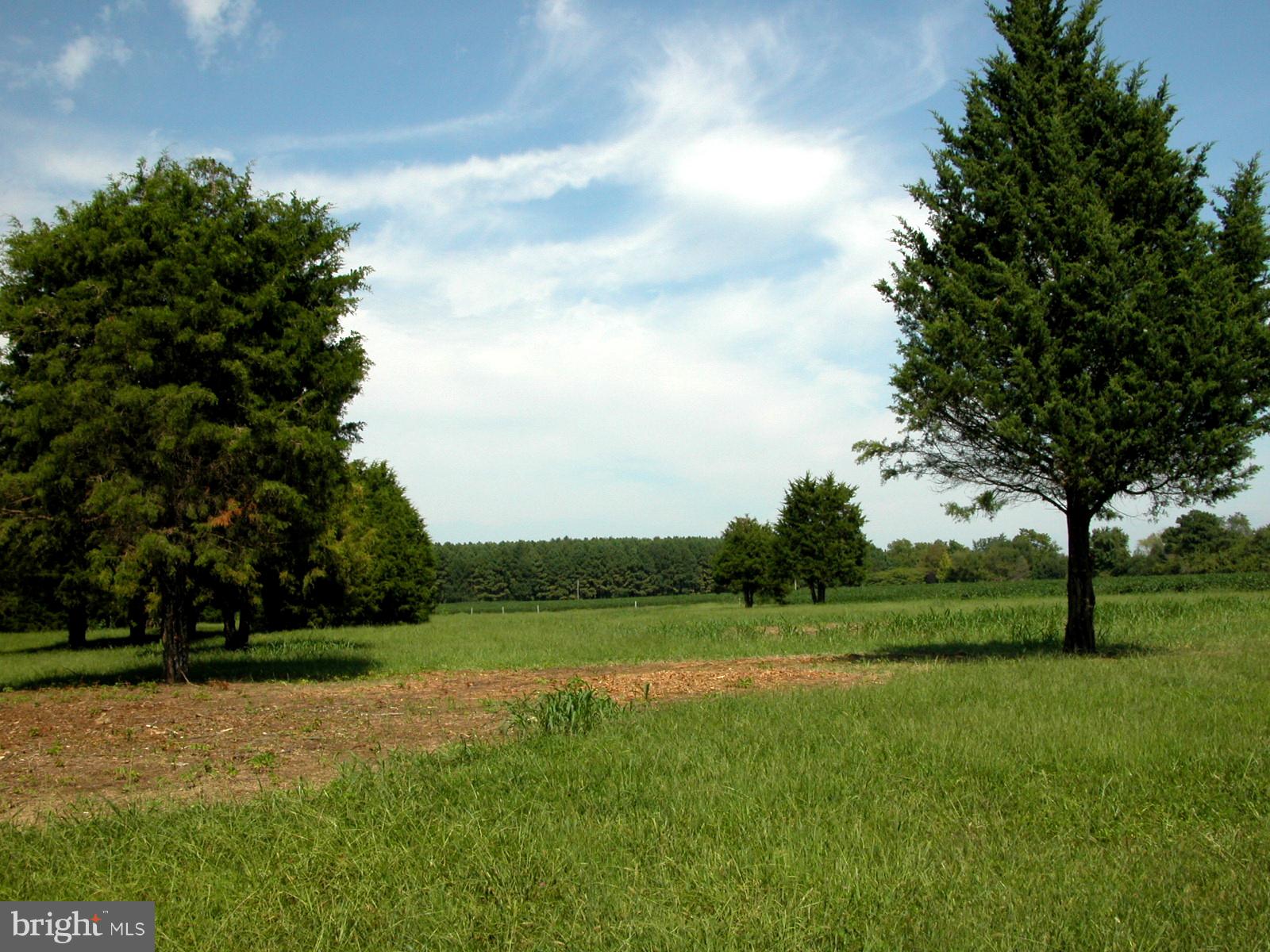 Deep Harbor Farm Road, Unit 10 Sherwood, MD 21665 - Photo 5 of 24
