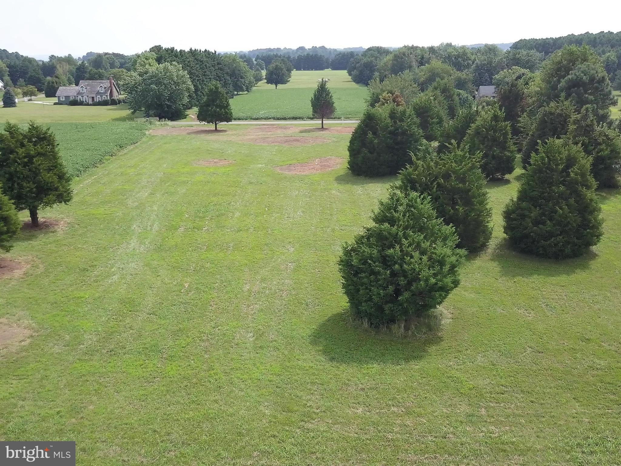 Deep Harbor Farm Road, Unit 10 Sherwood, MD 21665 - Photo 6 of 24 APPROVED FOR STANDARD IN-GROUND SEPTIC SYSTEM