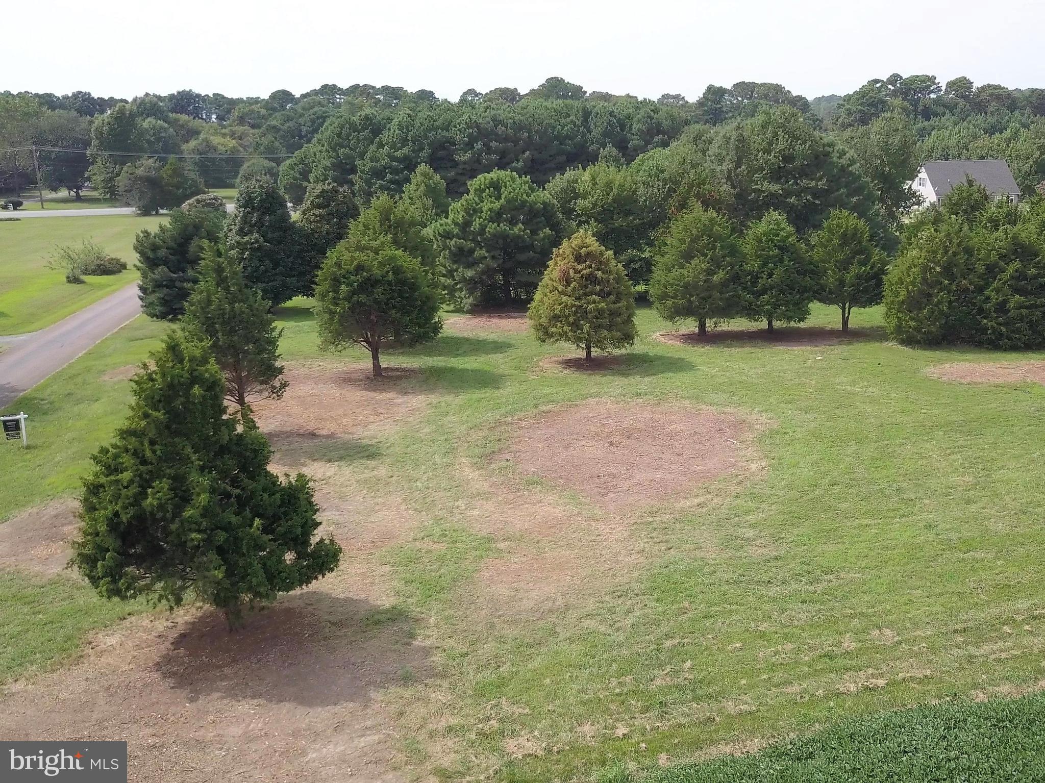 Deep Harbor Farm Road, Unit 10 Sherwood, MD 21665 - Photo 7 of 24 TWO ACRE HOME SITE