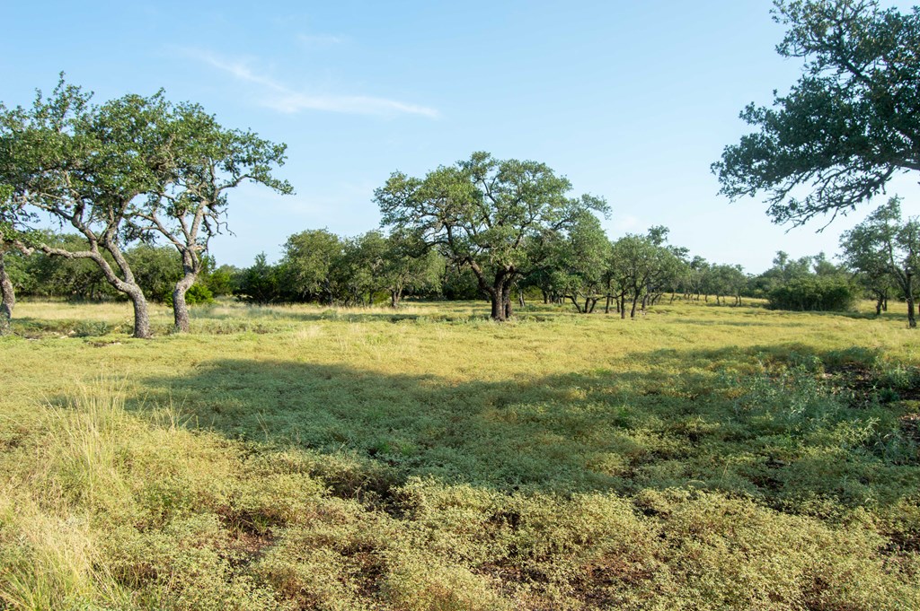 0 Elrincon Road Mountain Home, TX 78058 - Photo 16 of 20
