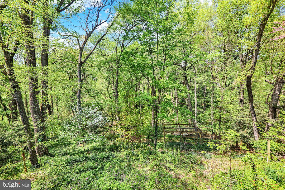 36 Wade Drive Lititz, PA 17543 - Photo 12 of 12 a view of a garden