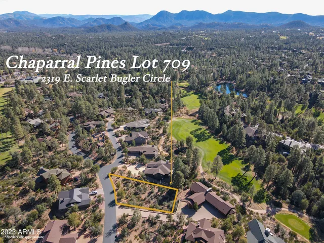 a view of a bunch of trees and bushes