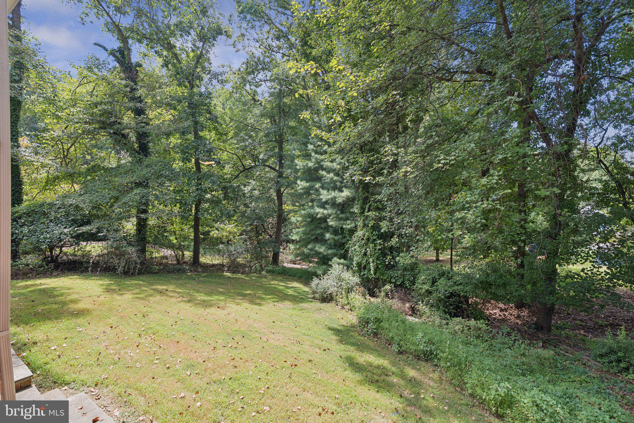 111 Marine Terrace Silver Spring, MD 20905 - Photo 39 of 40 a view of a back yard