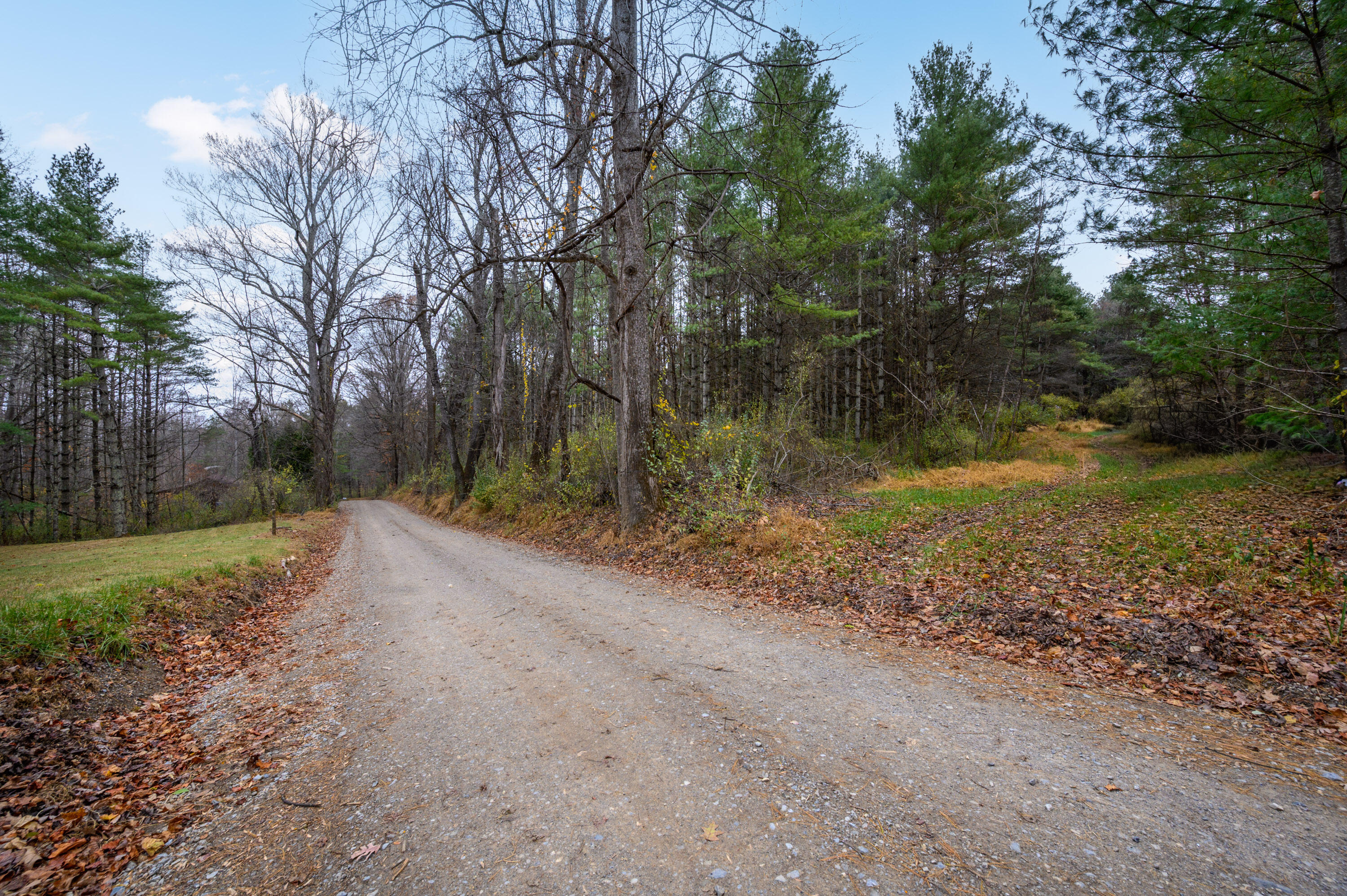 595 Wild Cherry Road Northeast Pilot, VA 24138 - Photo 14 of 21 a view of a yard with plants and trees