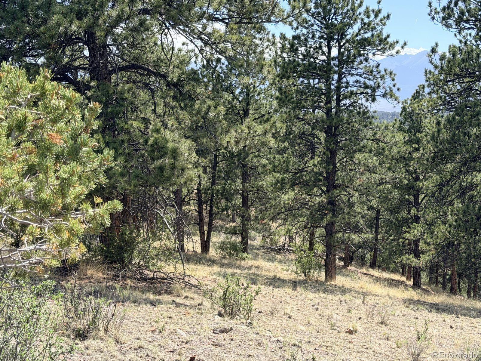 0 Schulze Ranch Road Westcliffe, CO 81252 - Photo 17 of 33