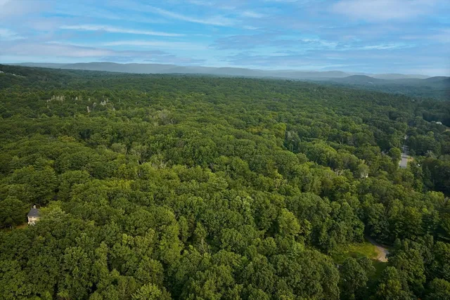 a view of a green field with lots of bushes
