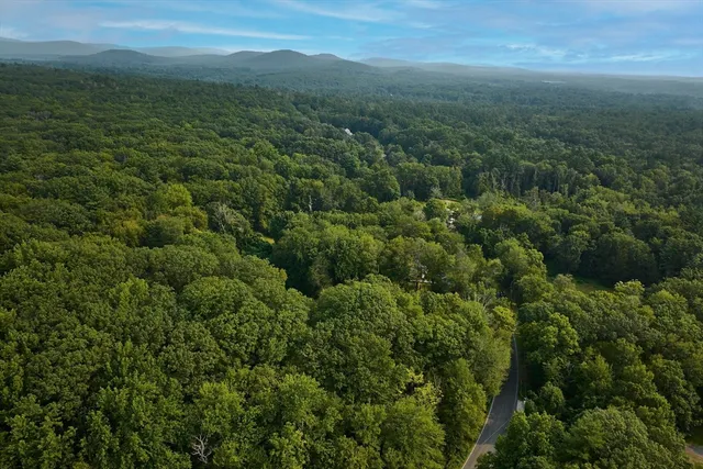 a view of a city with lush green forest