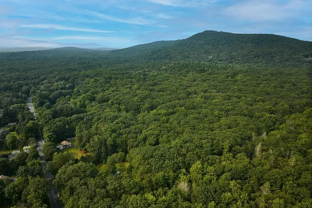a view of a lush green hillside and a houses