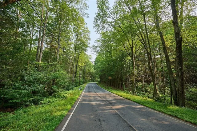 a view of a pathway of a park