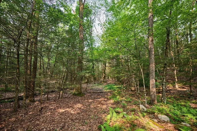 a view of outdoor space and green space