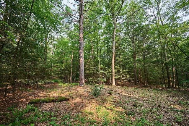 a view of outdoor space and trees