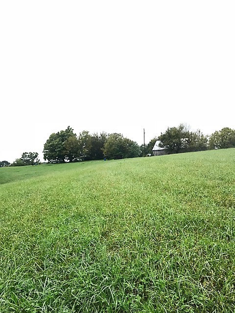53-acres Sipple Road Dry Ridge, KY 41035 - Photo 5 of 26