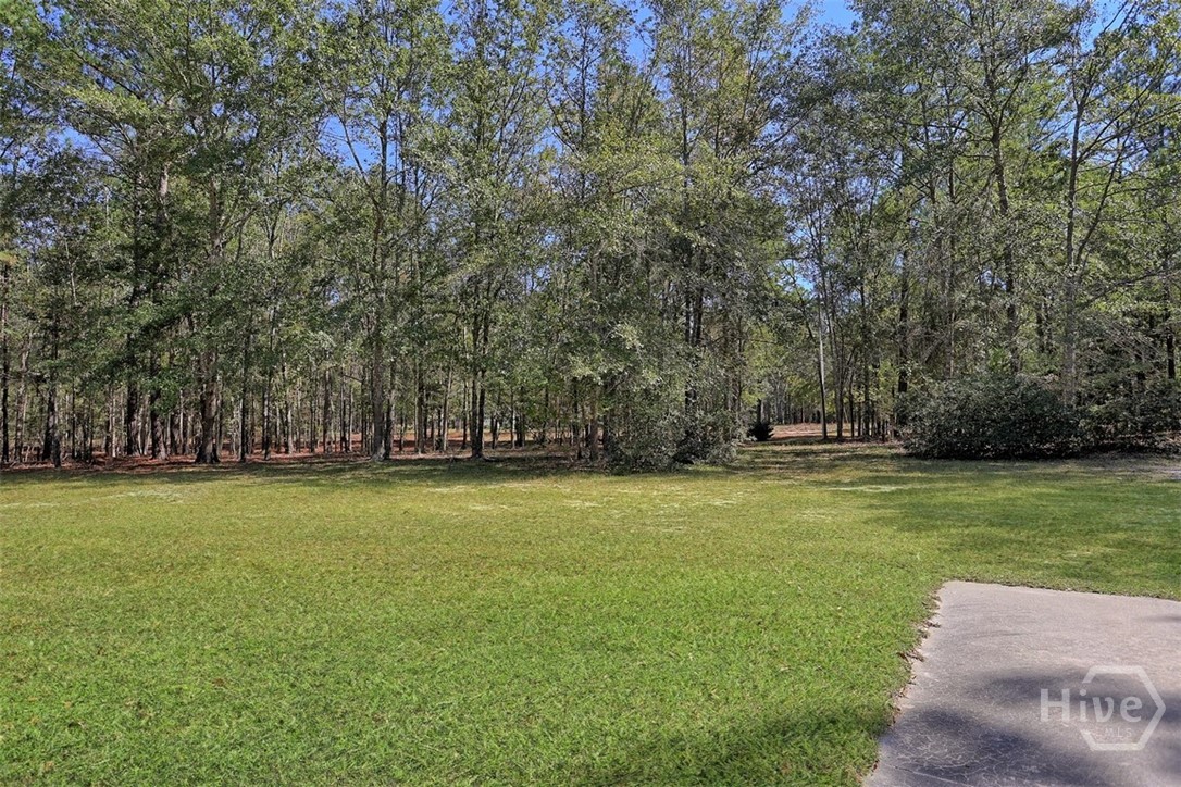 205 Dekle Road South Register, GA 30452 - Photo 48 of 55