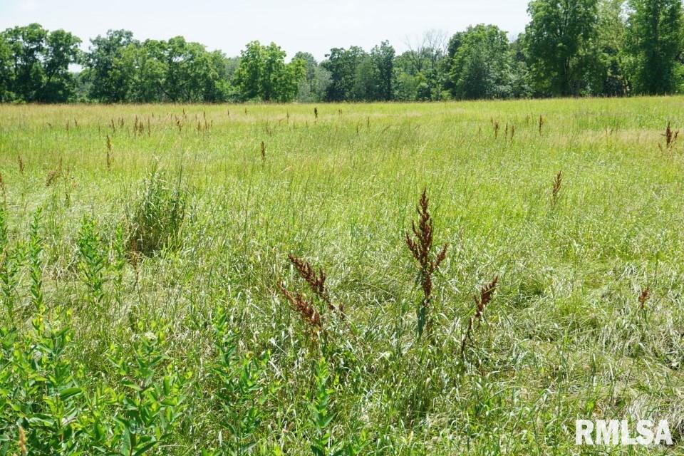 3 East Miller Road Chillicothe, IL 61523 - Photo 7 of 23 Gallery Image 7