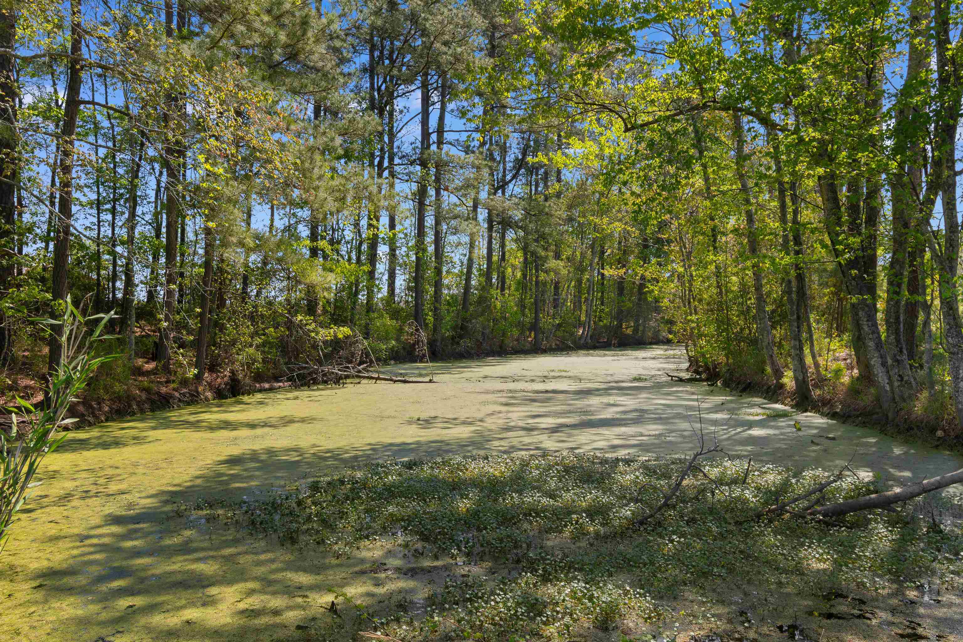 1991 Church Road Green Sea, SC 29545 - Photo 41 of 41