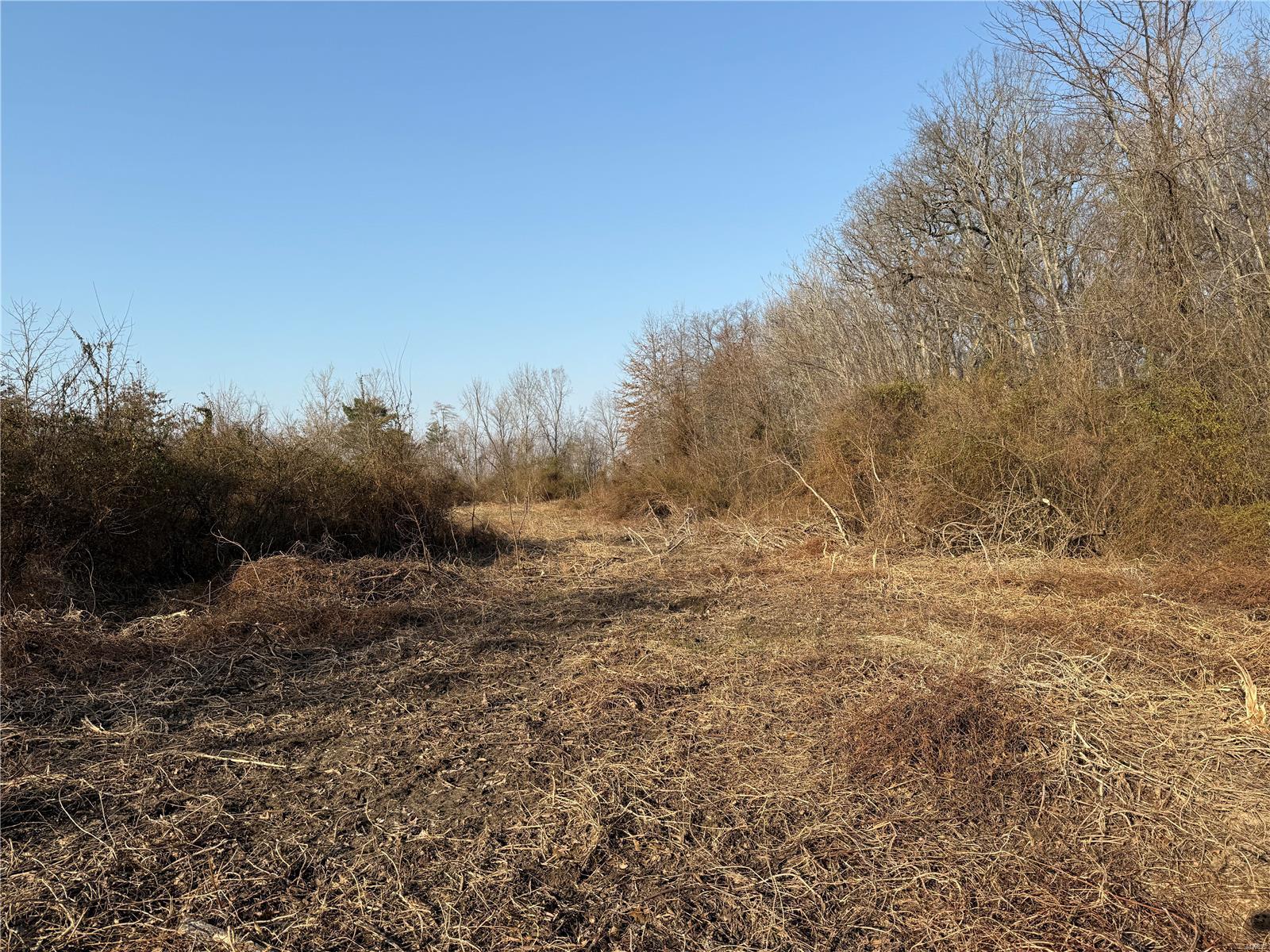 0 6.73 Ac Kaskaskia Road Waterloo, IL 62298 - Photo 4 of 17