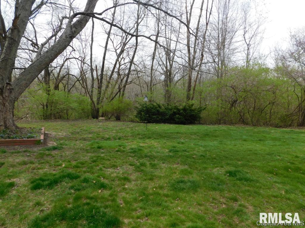 1377 Crestview Drive Springfield, IL 62702 - Photo 14 of 16