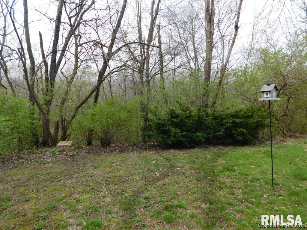 1377 Crestview Drive Springfield, IL 62702 - Photo 15 of 16