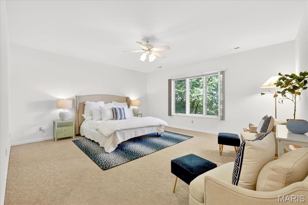 155 North Hanley Road, Unit 305 St. Louis, MO 63105 - Photo 12 of 20