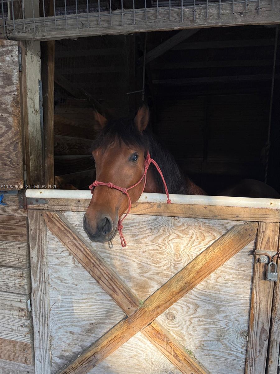 19051 Southwest 136th Street Miami, FL 33196 - Photo 12 of 33