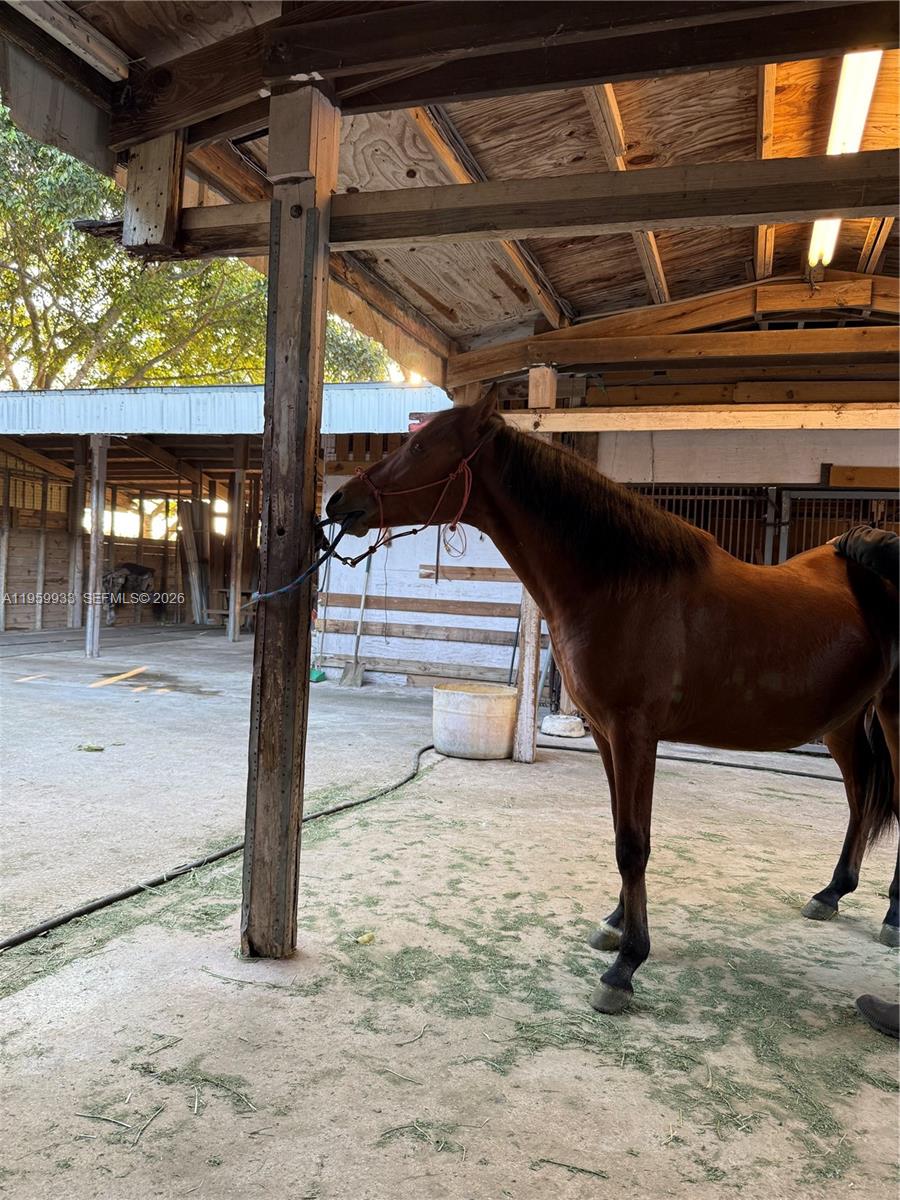 19051 Southwest 136th Street Miami, FL 33196 - Photo 13 of 33