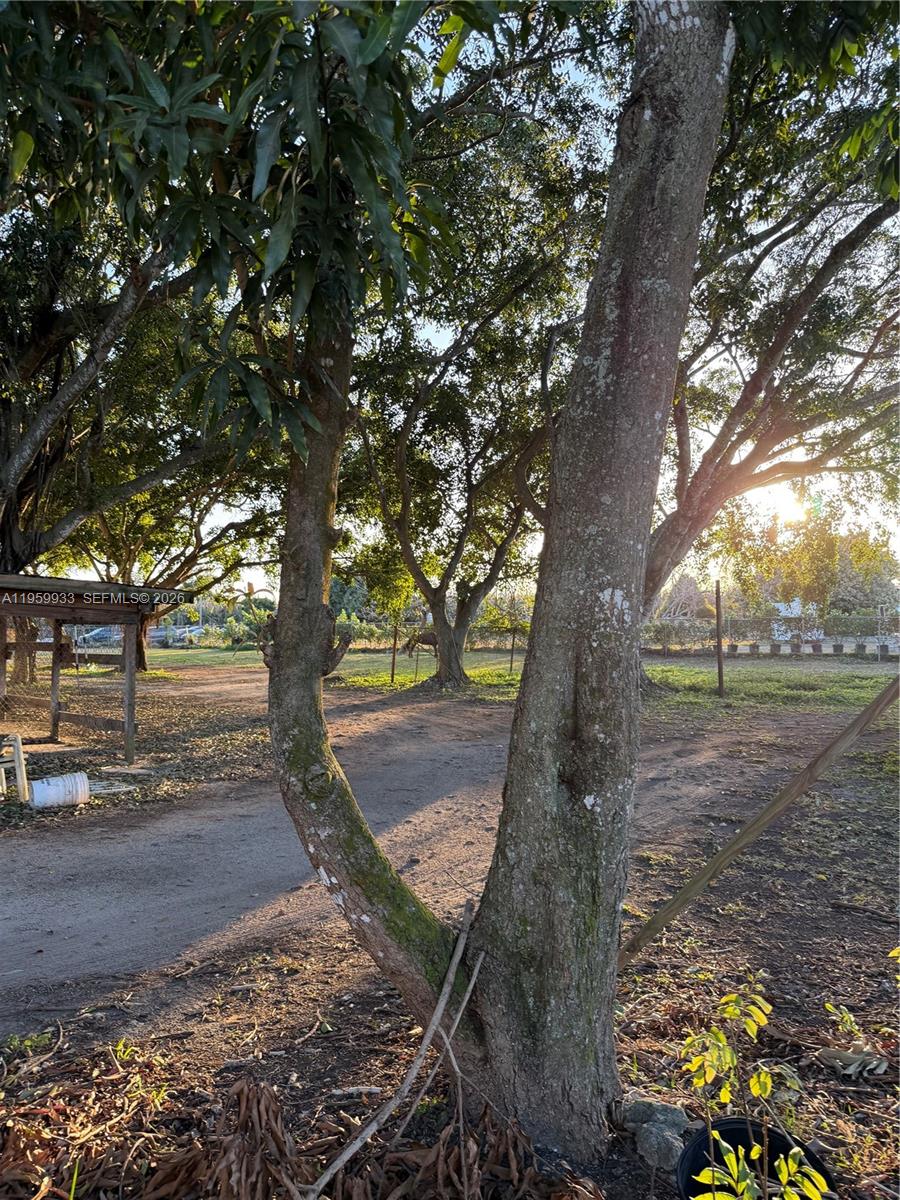 19051 Southwest 136th Street Miami, FL 33196 - Photo 10 of 33