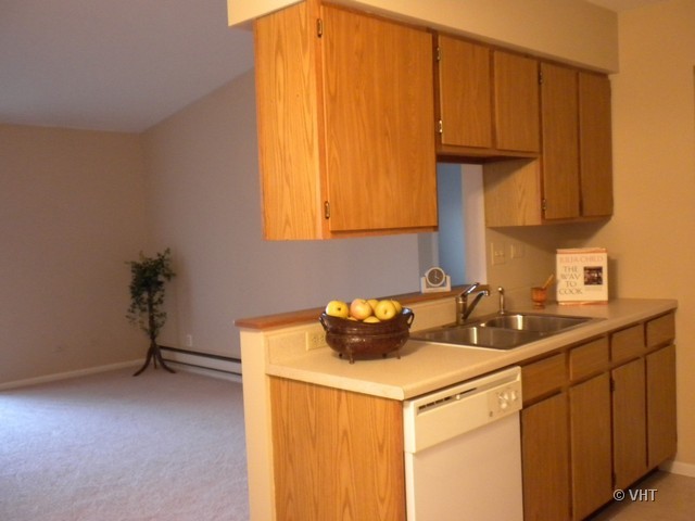 621 South Virginia Road, Unit 206 Crystal Lake, IL 60014 - Photo 3 of 4