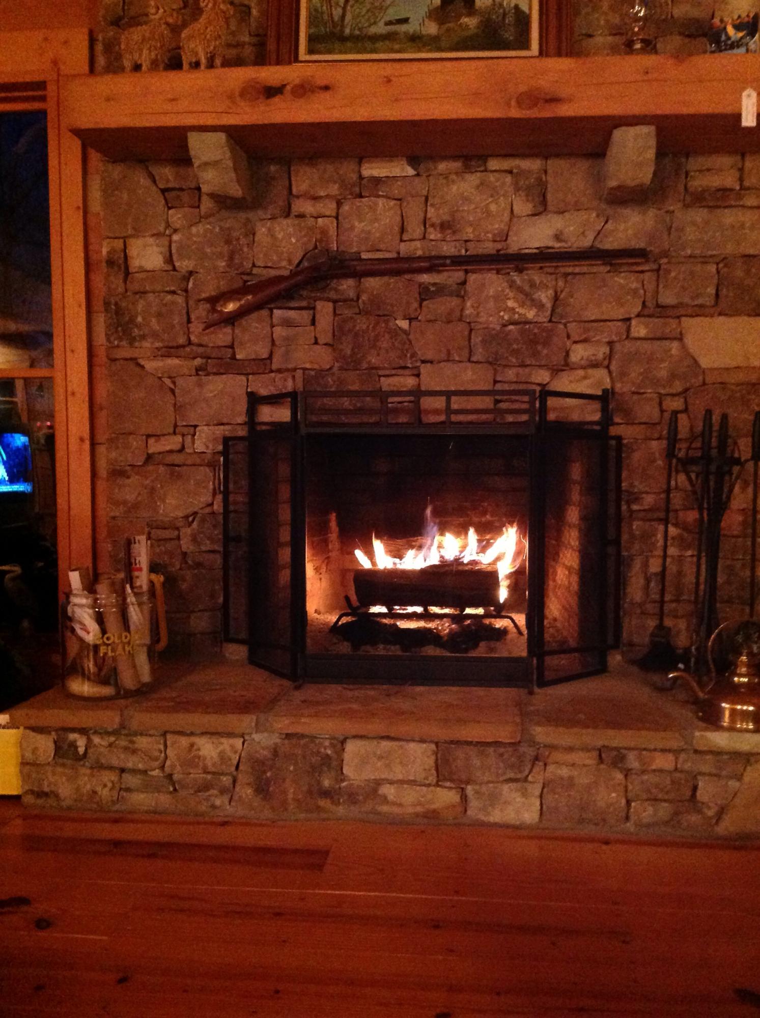 205 Kings Point Spring City, TN 37381 - Photo 31 of 38 image