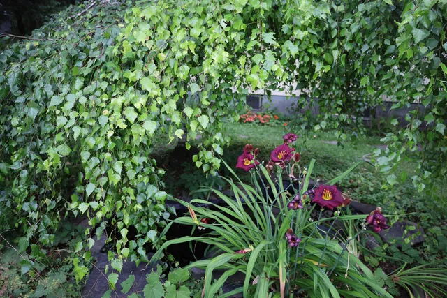 $259,000 | 133 Barker Avenue, St. Johnsbury, VT 05819