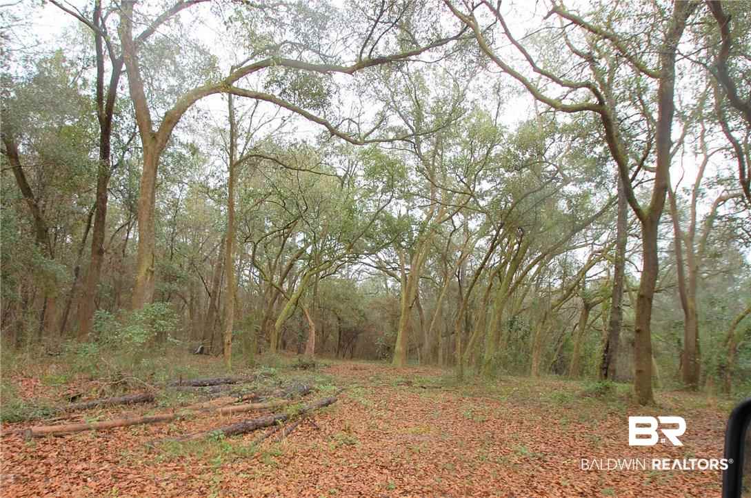 12505 Clay City Road Fairhope, AL 36532 - Photo 26 of 26