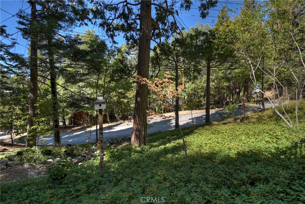 158 Golf Course Road Lake Arrowhead, CA 92391 - Photo 50 of 75 a backyard of a house with lots of green space