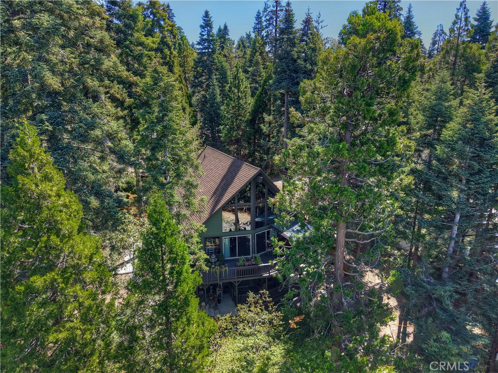 158 Golf Course Road Lake Arrowhead, CA 92391 - Photo 74 of 75 a view of a house in a forest