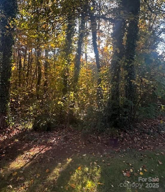 1350 21st Avenue Northeast Hickory, NC 28601 - Photo 4 of 27 a view of outdoor space and trees