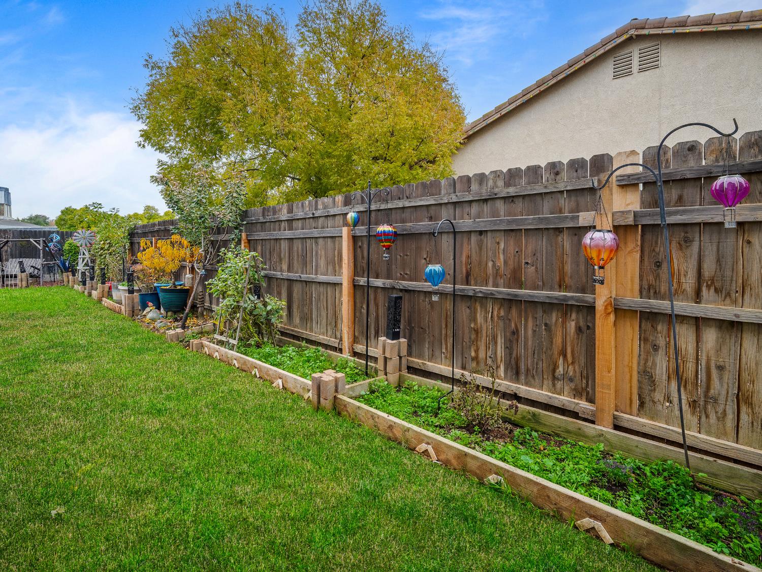 10893 Woolwich Way Mather, CA 95655 - Photo 21 of 24 a view of backyard with wooden fence and a large tree
