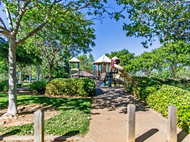 a view of a garden with a pathway