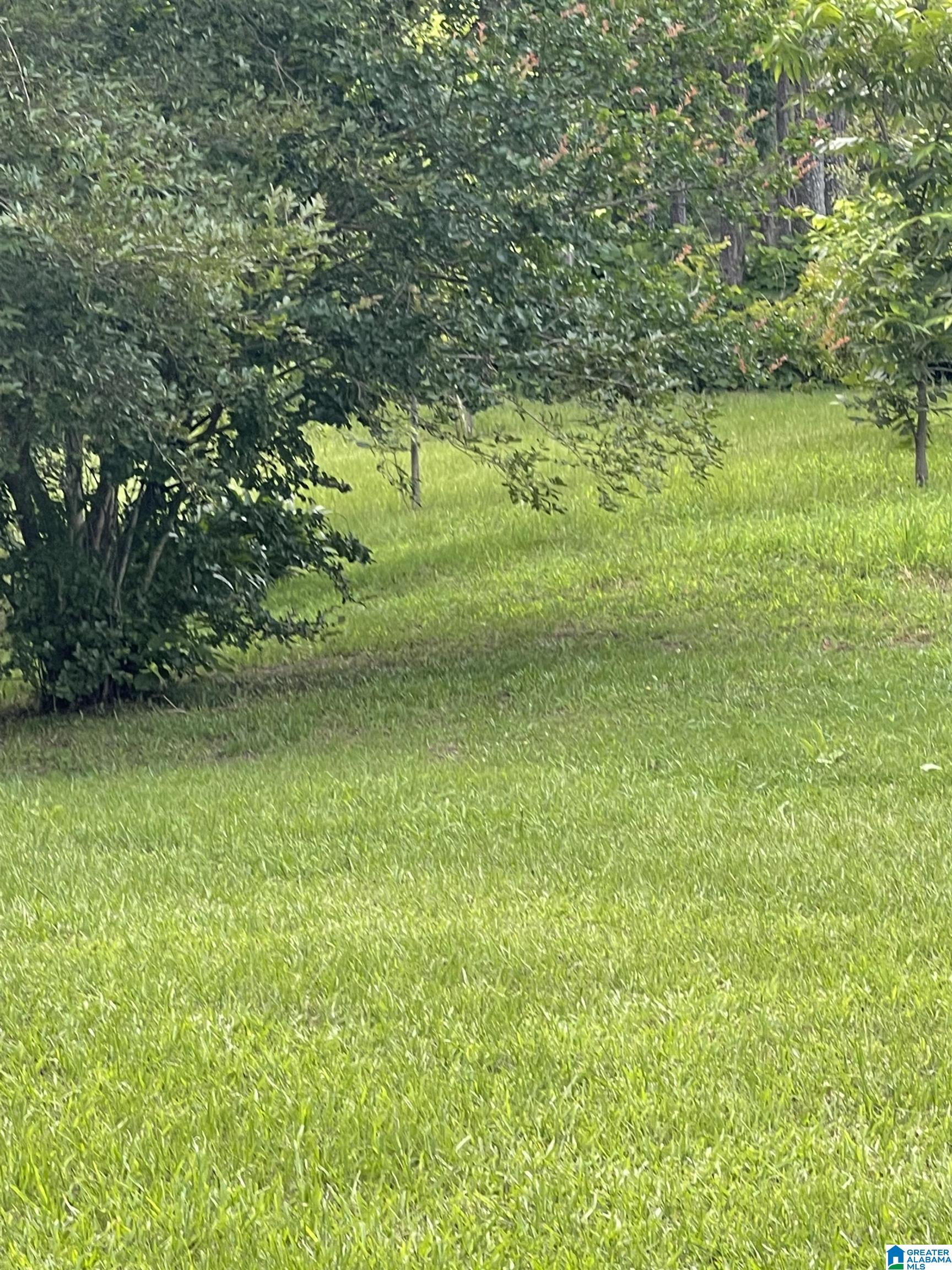 2003 Yellow Leaf Road Clanton, AL 35045 - Photo 21 of 21