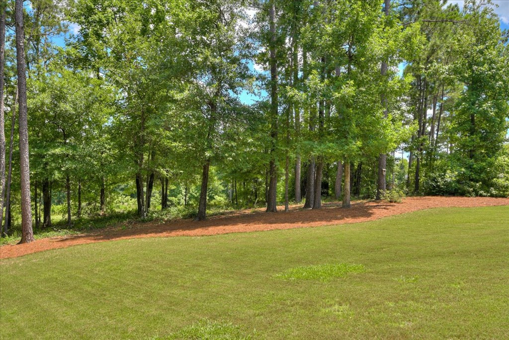 964 Bartram Ridge Evans, GA 30809 - Photo 54 of 74 Additional land in trees